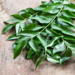 Curry Leaf