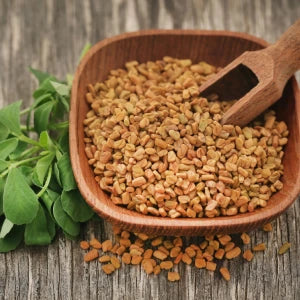 Fenugreek Seed